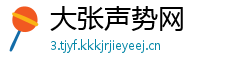 大张声势网